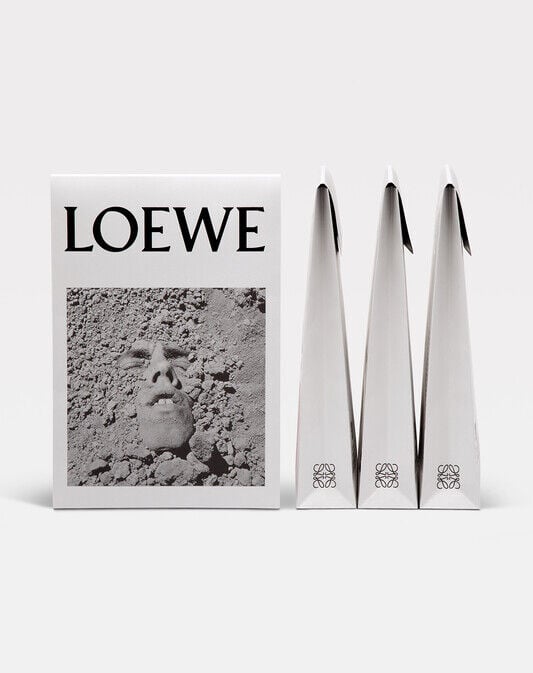 Loewe shop david wojnarowicz